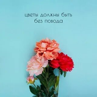 Цитаты фото цветов