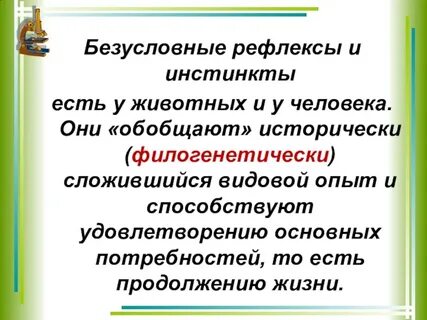 Чем отличается рефлекс от инстинкта