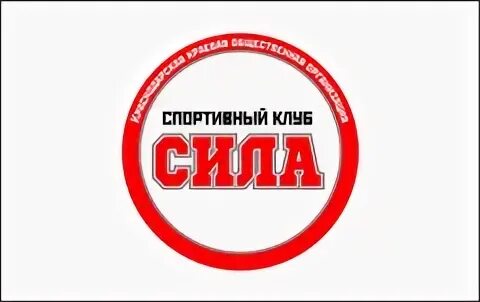 Особая организация силы