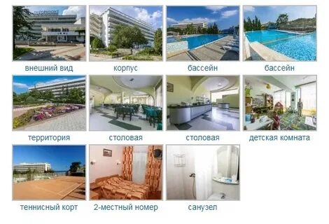 Ток судак схема