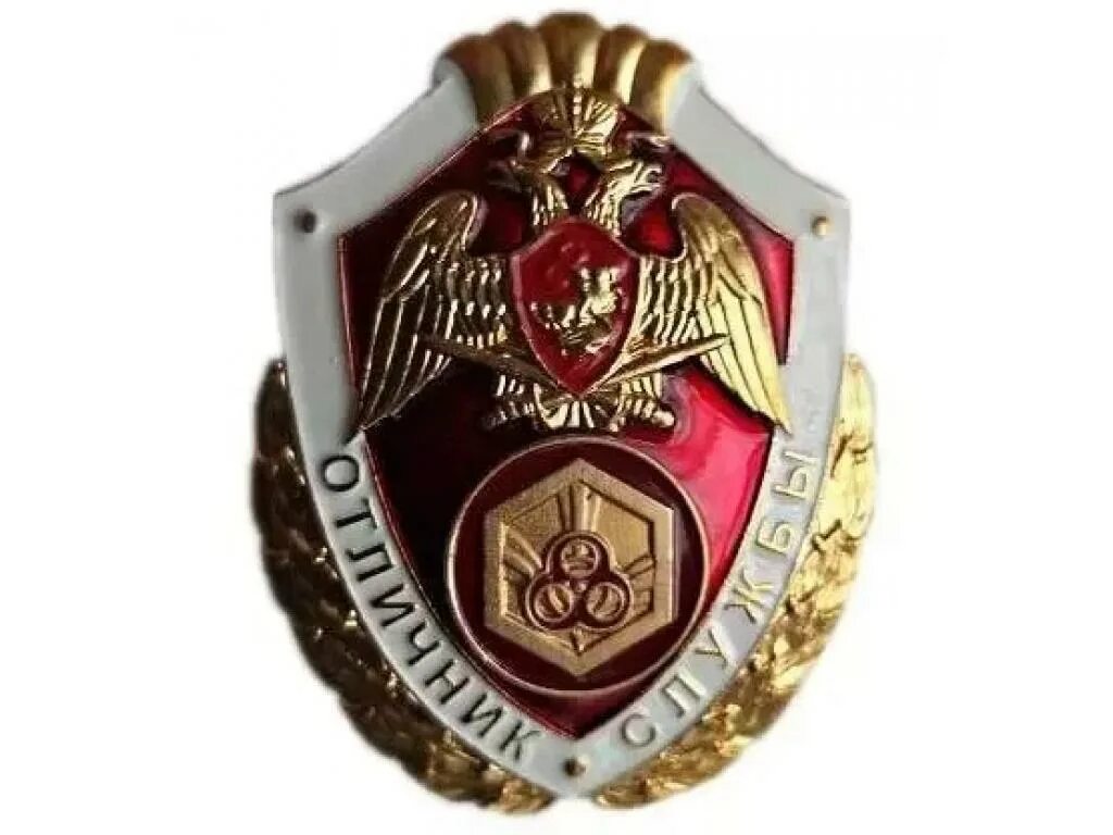 Знак отличника службы РХБЗ. Знак отличник войск РХБЗ. Отличник службы Росгвардия РХБЗ. Отличник службы Росгвардии нагрудный знак РФ. Нагрудный знак росгвардии