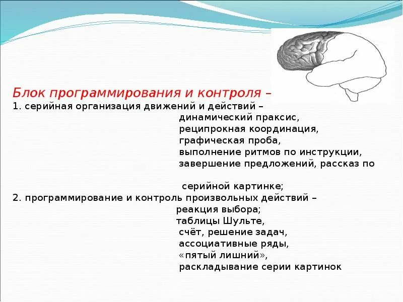 Проба на динамический Праксис. Развитие серийной организации движений. Серийная организация движений на письме. Серийная организация движений