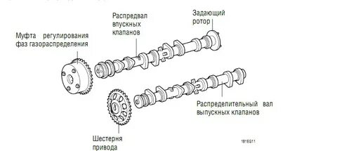 Фазы валов