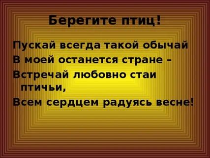 Береги свою птицу не