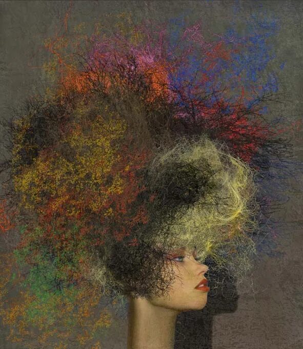 тонкий художник