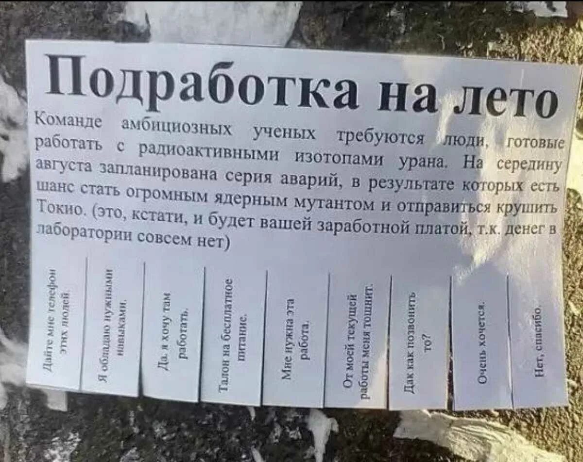 Бесплатные обьявления. Отправить объявление хотят. Объявление на работу пример. Прикольные объявления о вакансиях. Крутое объявления о продаже предмета.