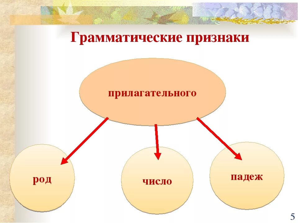 Признаки прилагательного изменяются. Грамматические признаки имени прилагательного 5 класс. грамматические признаки имени прилагательного 4 класс. грамматические признаки прилагательного 4. грамматические признаки прилагательных 4 класс.