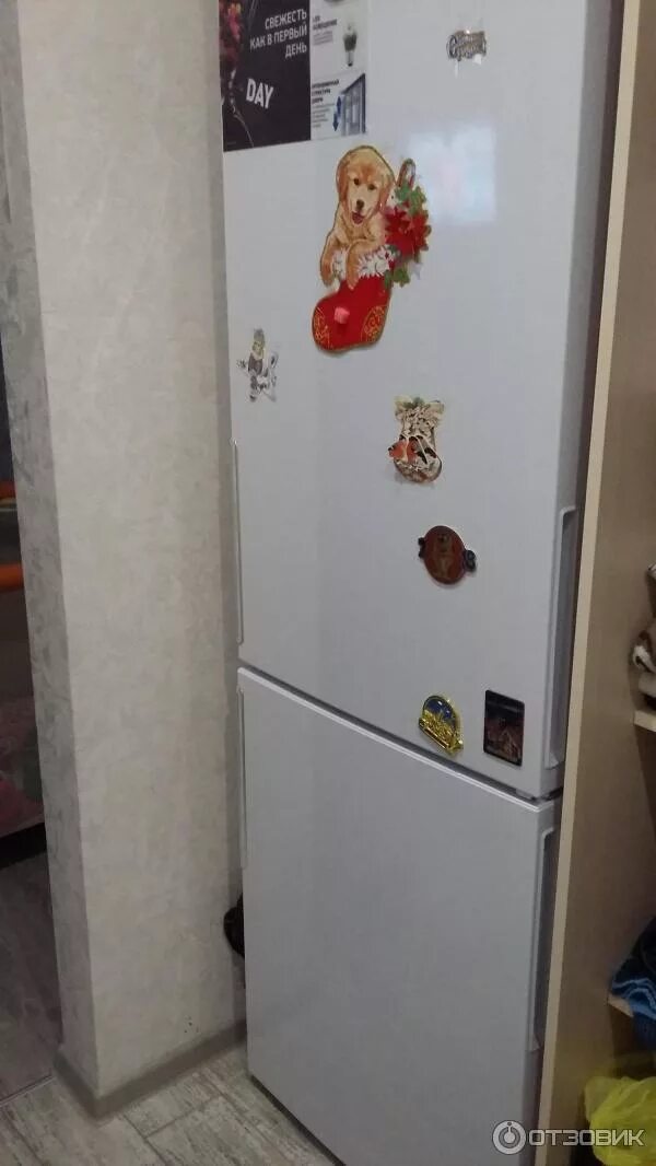 Hf4200w Аристон холодильник. Холодильник Хотпоинт Аристон hf4200w. Hotpoint HF 4200 W. Ariston 4200 w. Холодильник hotpoint ariston 4200
