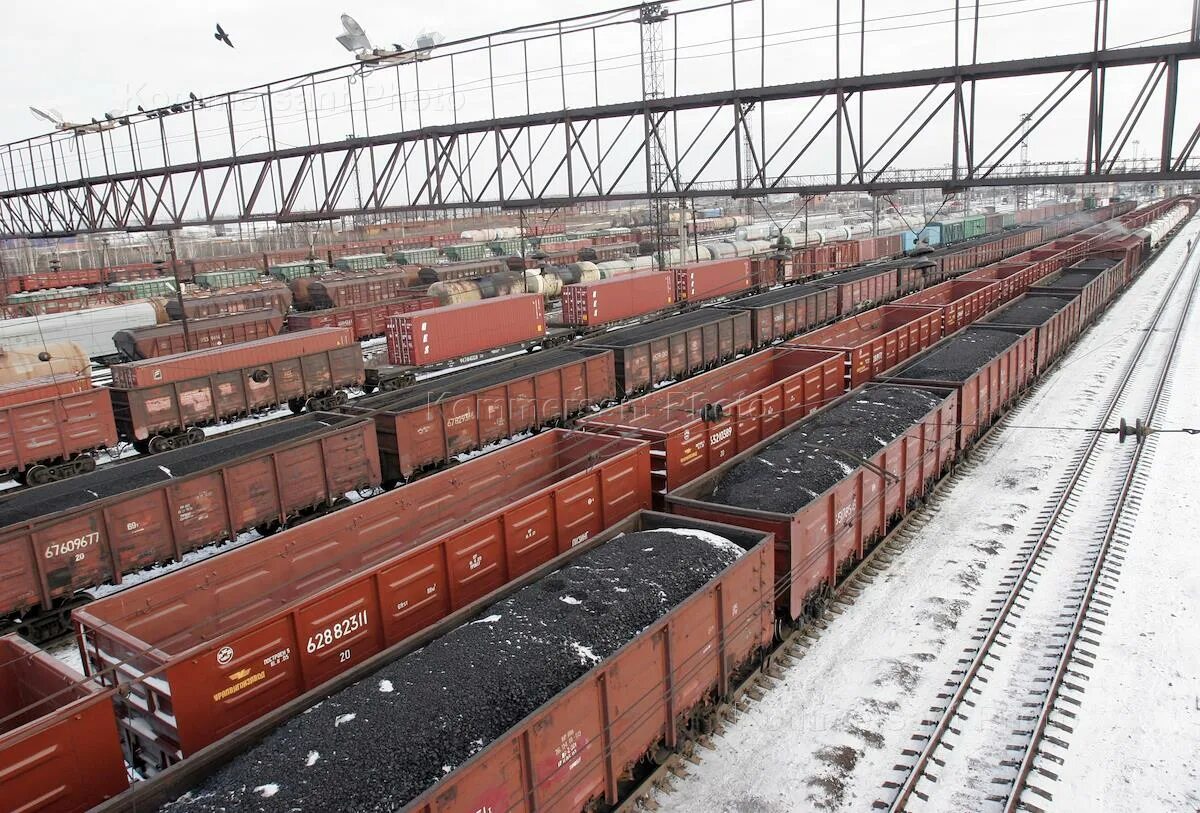 грузовые вагоны ржд. товарный 20-футовый вагон g3, h0, iii, nsb (осло). вагон опрокидывающийся. вагон эстония. грузовые вагоны ржд.