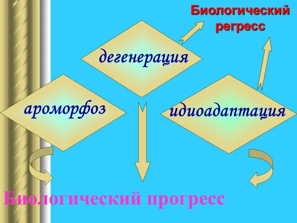 Выберите прогресс дегенерации. Общая дегенерация это Прогресс или регресс. Биологический регресс общая дегенерация. Прогресс регресс идиоадаптация. Ароморфоз идиоадаптация дегенерация таблица.