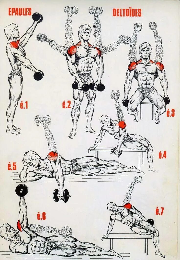 Как быстро накачать гантелями. Упражнения для прокачки мышц плеча. Упражнения с гантелями на прокачку мышц. Упражнения для накачки дельтовидных мышц. Как накачать дельтовидные мышцы.