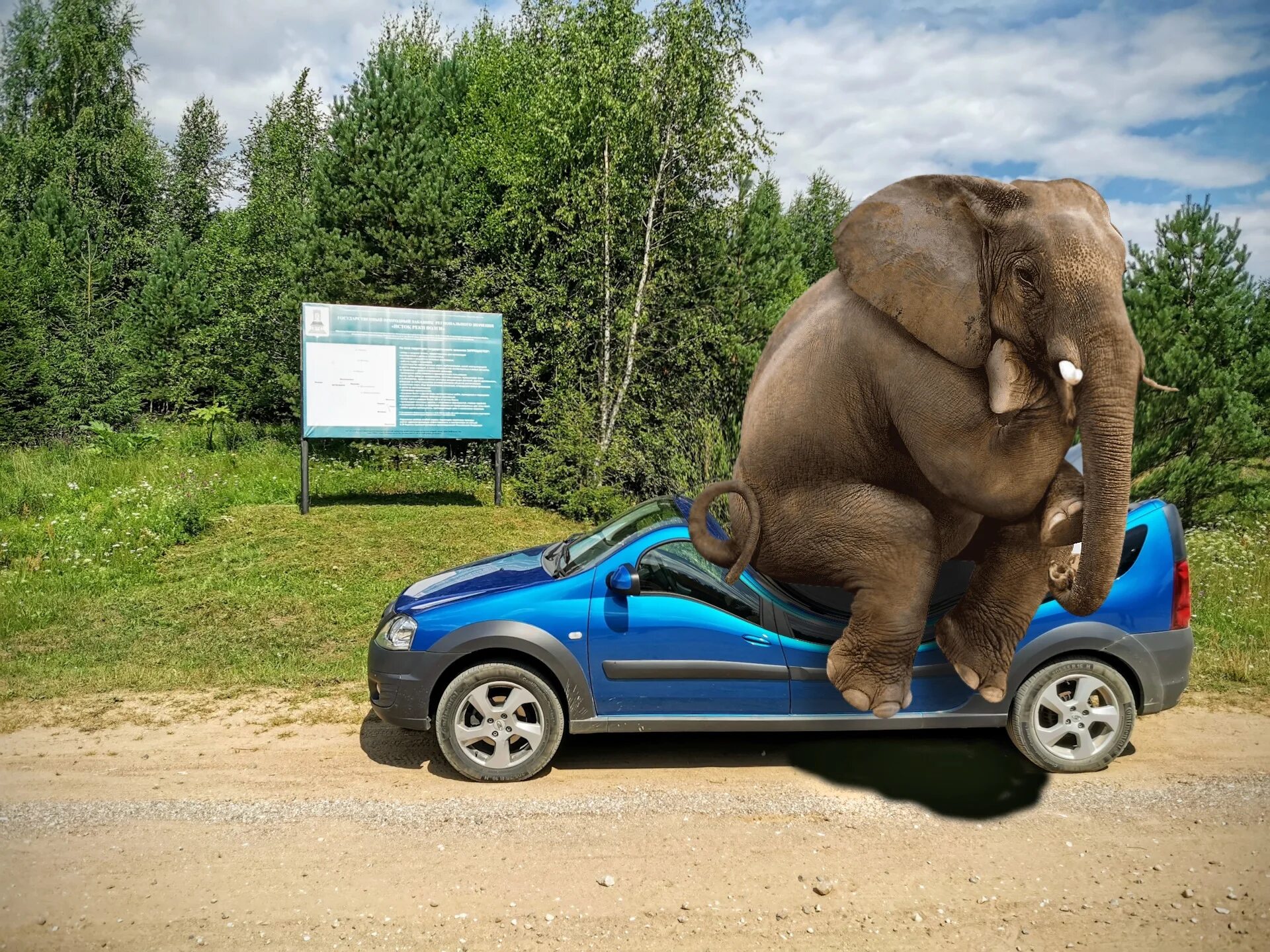 Машина слон. Машина для перевозки слонов. Слон грузоперевозки. Elephant car