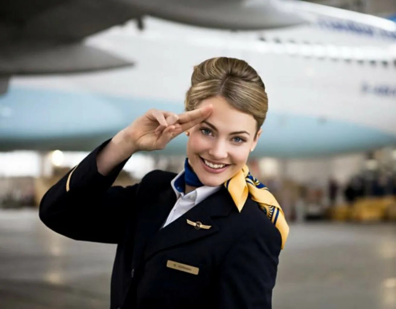 Стюардессы американ эйрлайнс. Пилот и стюардесса. Летчик и стюардесса. Стюардессы. Стюард.
