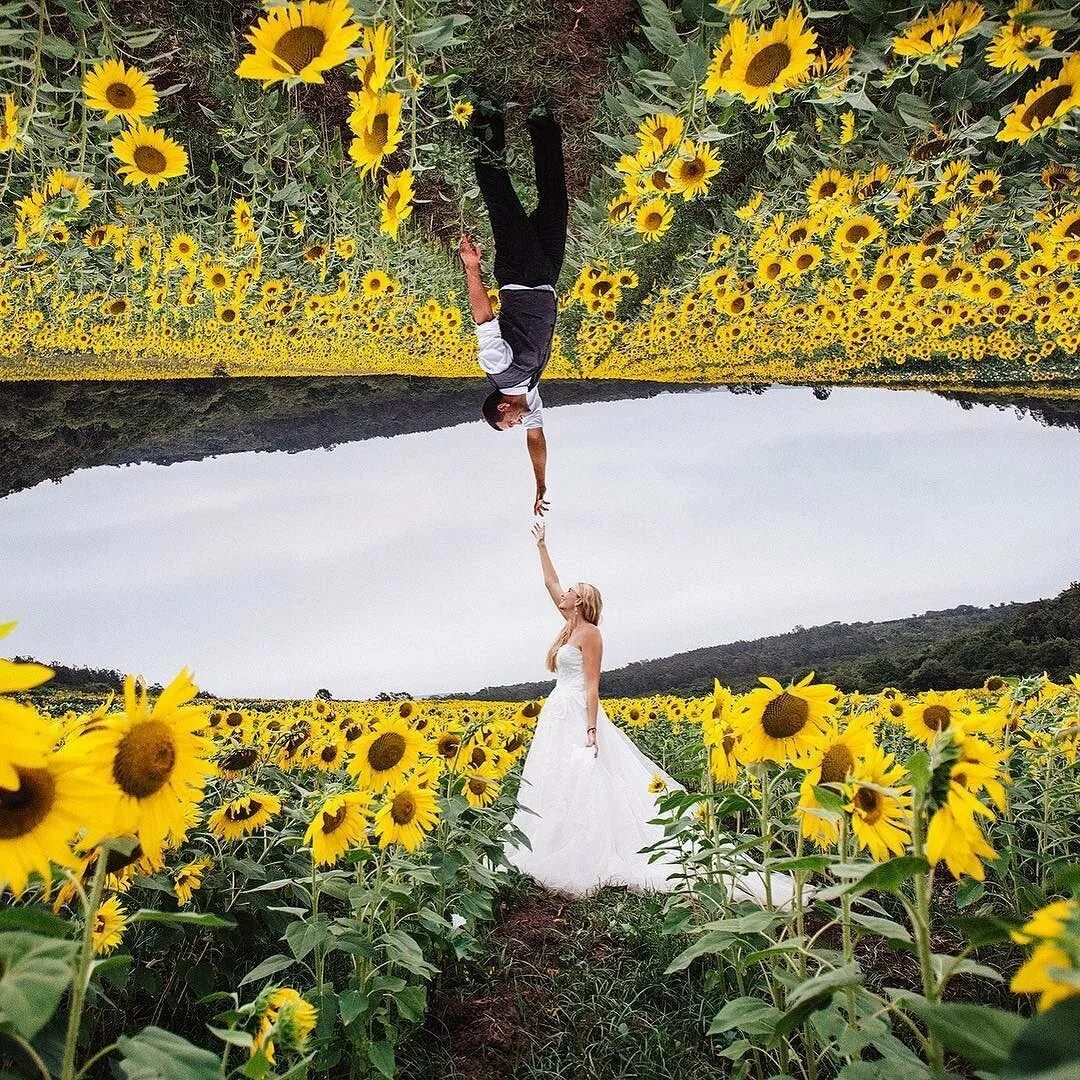 Оригинальные идеи для лета. Необычные свадебные фотосессии летом. свадебная фотосессия в подсолнухах. свадьба в подсолнухах. креативные идеи для свадебной фотосессии летом.