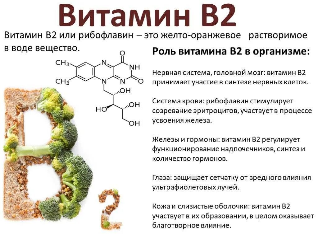 Отсутствие витамина б. Витамин б2 рибофлавин. Функции витамина б2 в организме человека. Витамин b2 рибофлавин функции. Витамин в2 (рибофлавин, лактофлавин.