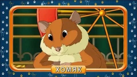 Хомяк ключ 24.07