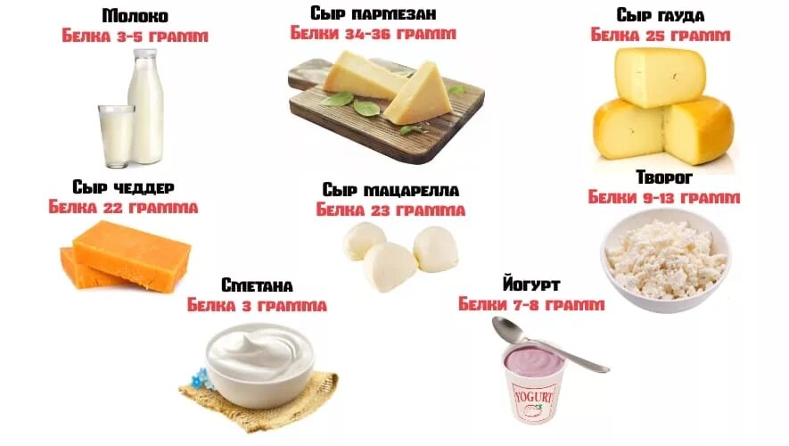 Сыры с высоким содержанием белка. Белковые молочные продукты. Молочные продукты содержащие белок. Содержание белка в сыре. Можно ли белкам сыр