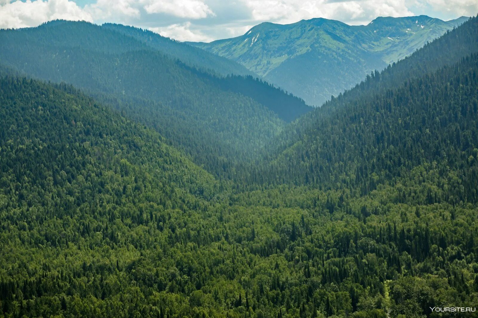 Байкальский заповедник. Байкальский Лесной заповедник. Байкальский заповедник экомаршруты. Республика Бурятия - Байкальский биосферный заповедник, этногородок. Долина снежной Байкальский заповедник.
