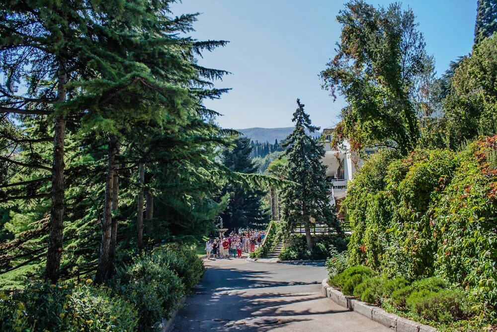 Москва партенит. Москва партенит. Москва партенит. Достопримечательности до партенита. Партенит крым парк айвазовского.