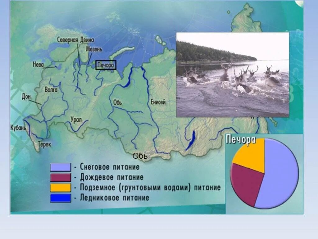 Питание Оби реки. Источники питания реки Обь. Питание и режим реки Обь. Тип питания реки Обь.