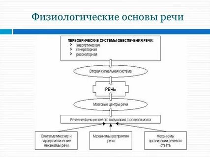 Какие системы обеспечивают речь