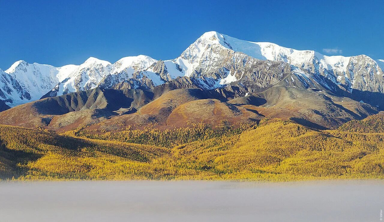 Кочкор,село курай, Республика Алтай. Село курай Республика Алтай февраль. Муркут. Курай Республика Алтай сверху.