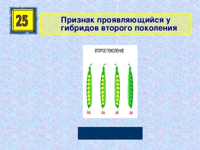 Проявление признака в первом поколении. Признак проявляющийся у гибридов первого поколения называется. Появляющийся у гибридлв первого поколения. Признаки гибридов первого поколения. Признаки не проявляющиеся у гибридов первого поколения.