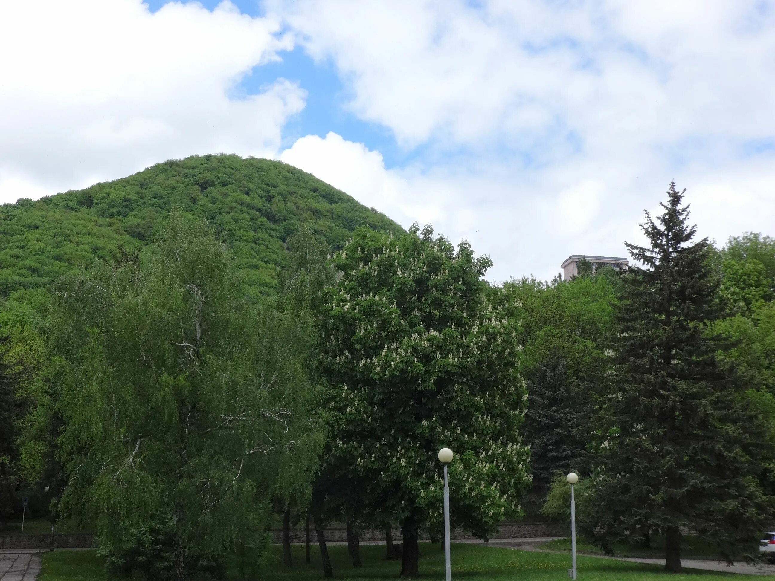 Гора железная железноводск. Гора железная Пятигорск. Железногорск железная гора. Вершина горы железной Железноводск.