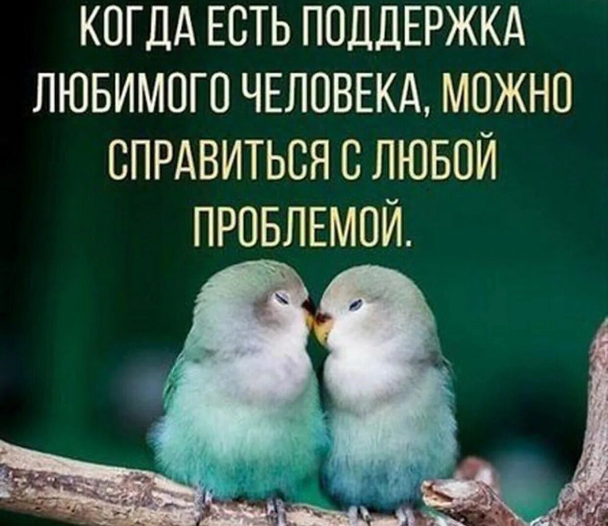 Что значит быть поддержкой