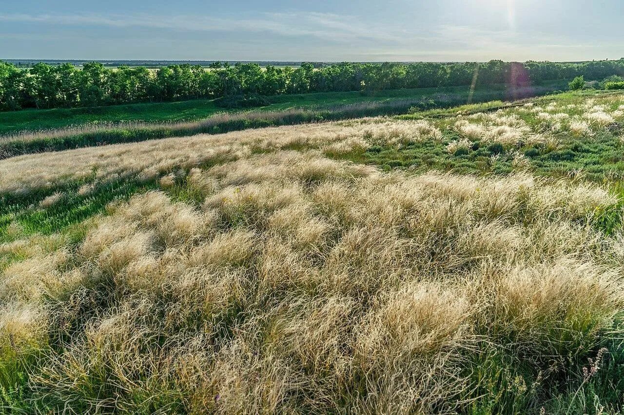 земли выставленные на торги