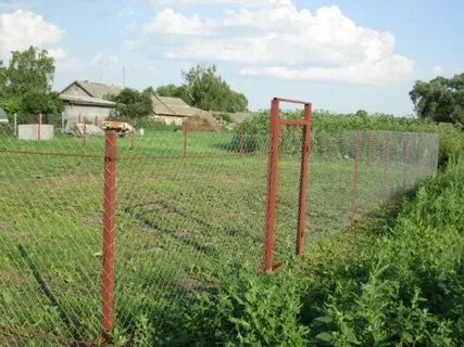 Забор 8 букв