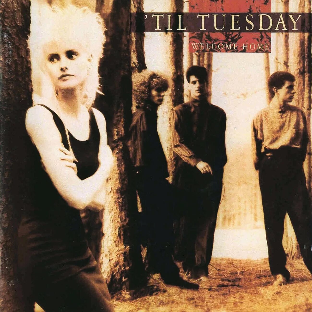 The real tuesday weld фото. Til. Tuesday песня. Группа ’til tuesday. Til tuesday.