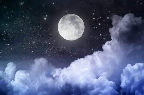 Laris moon