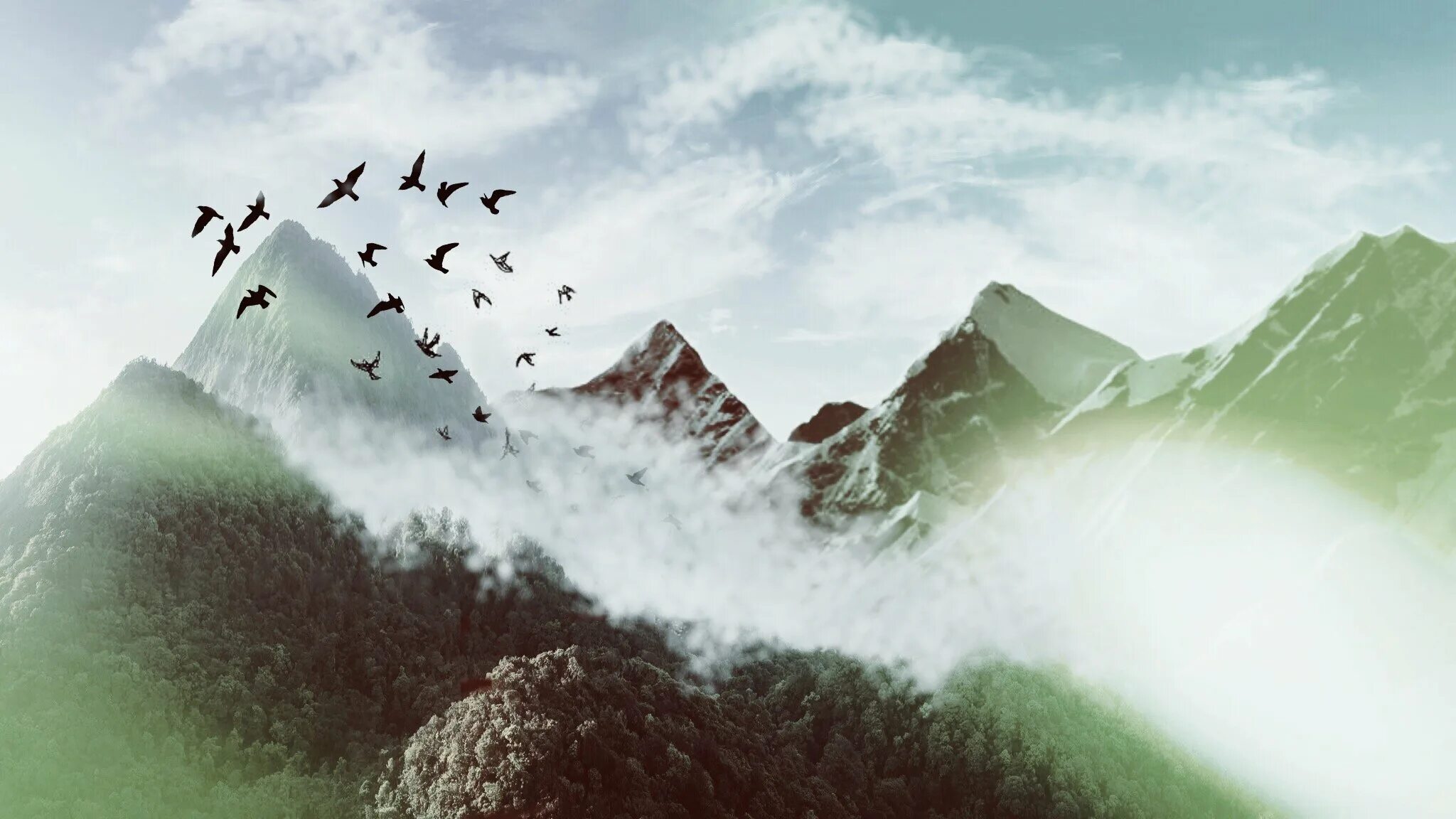 Орел в облаках 6 букв. Птицы в горах. Птицы в небе. Птица над горами. Птицы горной местности.