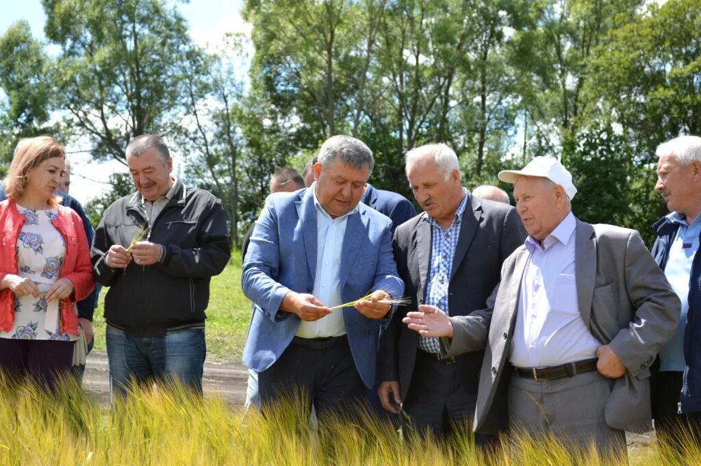 Орловская область ливенский район село сосновка. Село Сергиевское Ливенского района. Орловская область Ливенский район с.Жерино. Село Сергиевское Ливенского района Орловской области. Глава администрации Ливенского района Орловской области.