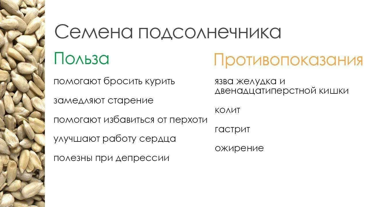 Семечки польза печени. Полезные семечки. Полезны ли семечки. Семечки подсолнуха. Вредные семена.