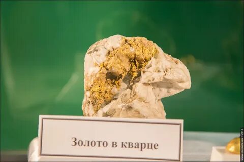 Золота жила