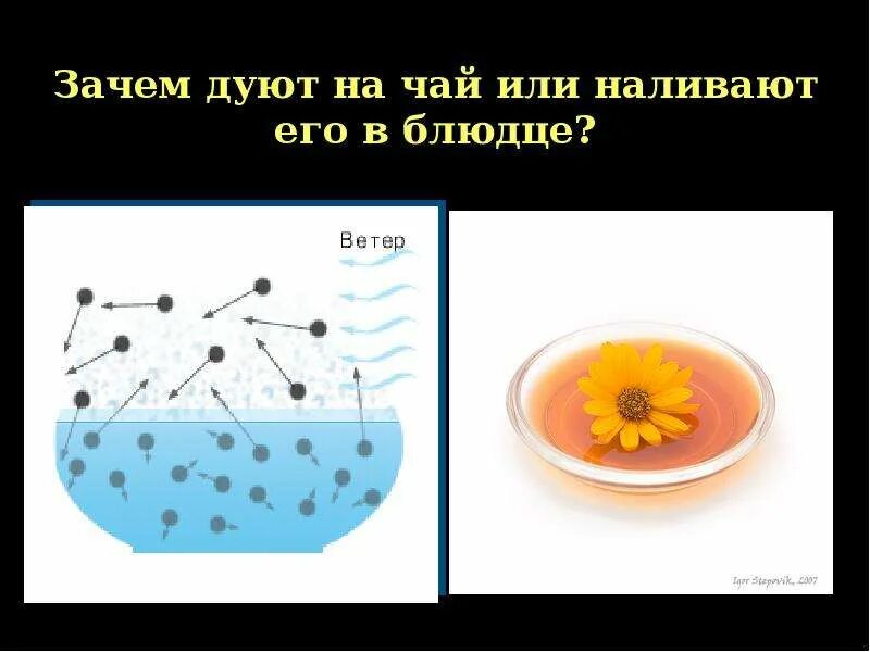 Почему чай остывает. Физика в стакане чая. Подуй на горячий чай. Дует на чай. Дует на чай рисунок.