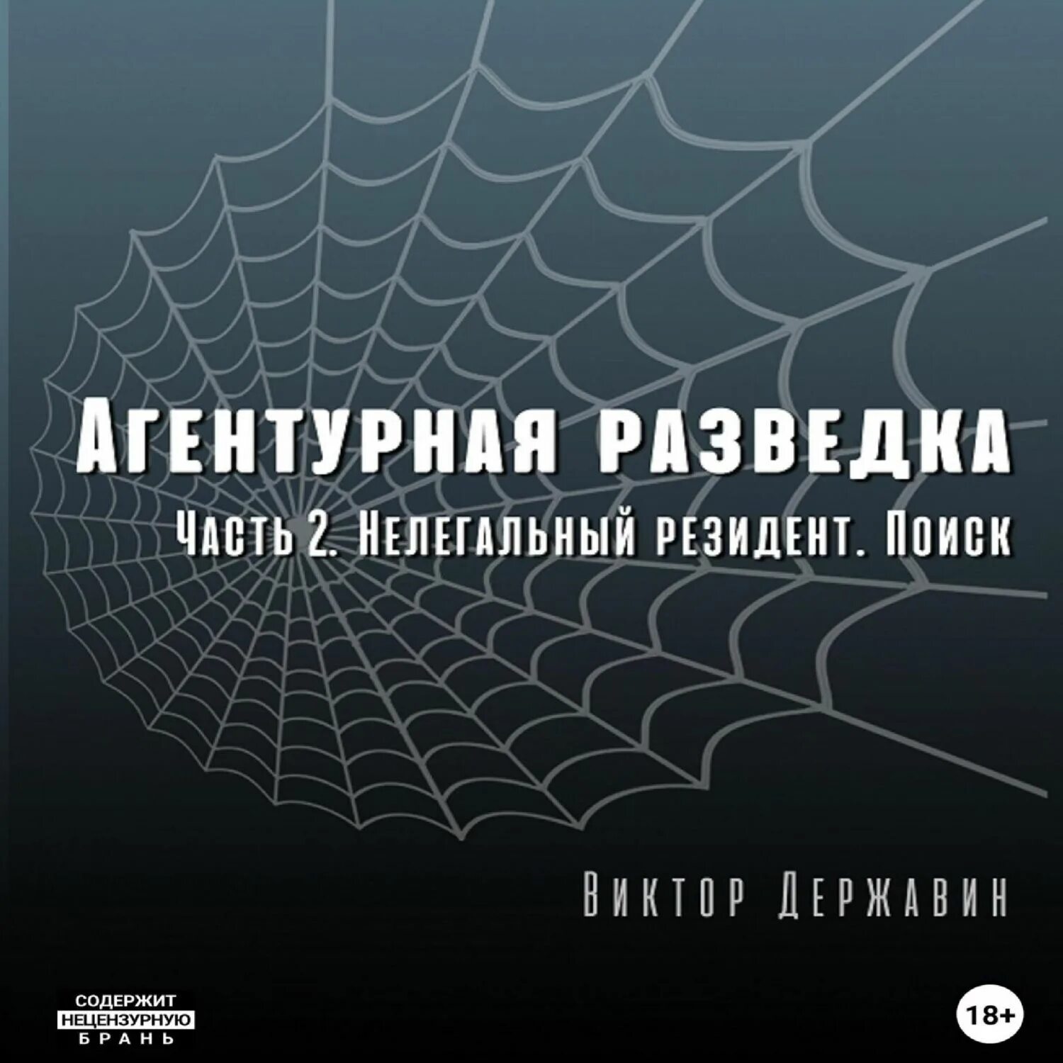 Аудиокниги слушать резидент. Ошибка резидента шмелев. Агентурная сеть в теории и практике. Антиквар обложка. Слушать детективы александровой аудиокниги.