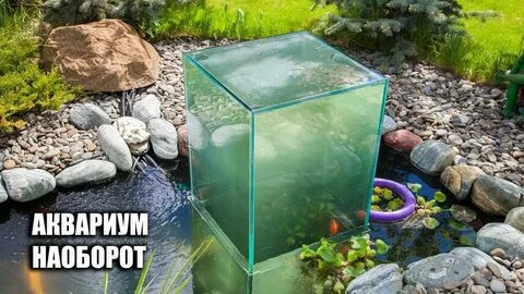 Обратный аквариум