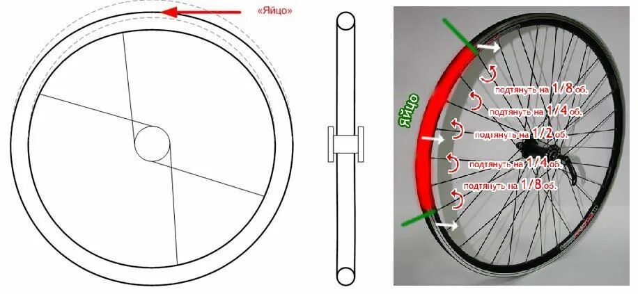 20 дюймов в см колесо велосипеда. Биение колеса велосипеда. Радиальное биение велосипедного колеса. Строение обода колеса велосипеда. Устранение биения колеса велосипеда.