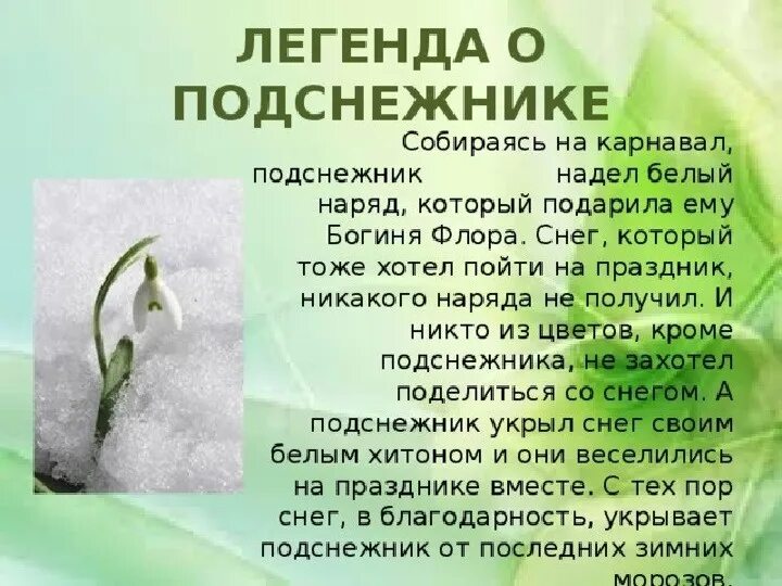 Информация про весну. Легенда о подснежнике. Легенда о подснежнике для детей. Легенды о цветах Подснежник. Легенды о подснежнике для дошкольников.