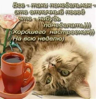 Теплой летней недели