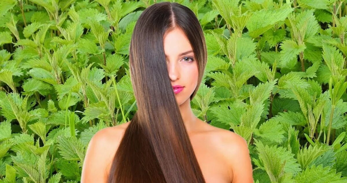 Ополаскиватель с крапивой для волос. Крапива для волос. Крапива укрепляет волосы. Крапива укрепляет волосы. Крапива укрепляет волосы.