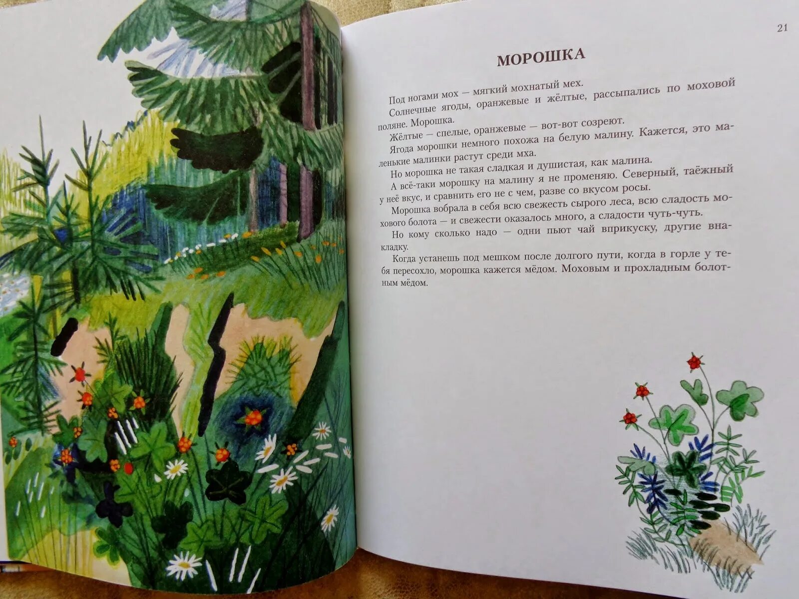 Коваль воробьиное. Воробьиное озеро Коваль рисунок. Воробьиное озеро Коваль читать. Воробьиное озеро книга.