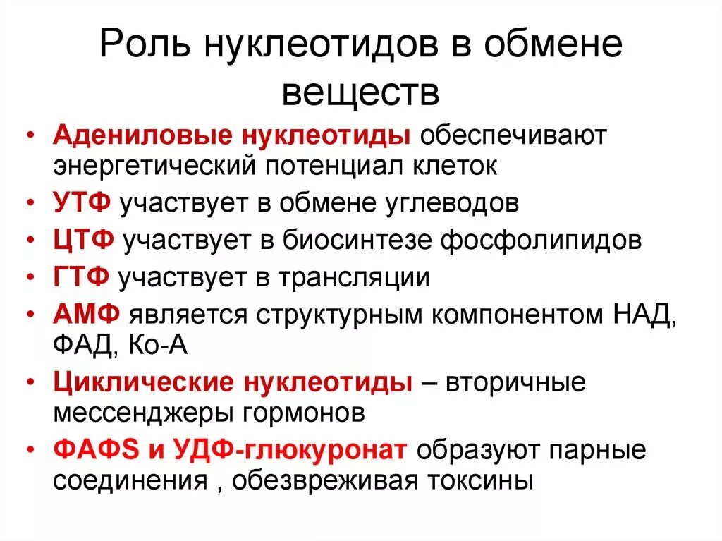 Почему различна роль. Метаболизм нуклеотидов биохимия. Роль нуклеотидов в обмене веществ. Функции нуклеотидов биохимия. Функции нуклеотидов.