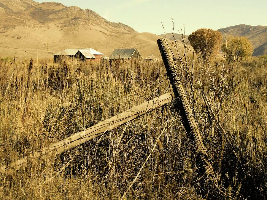 Country post. Old Fence. Old Ring Fence.