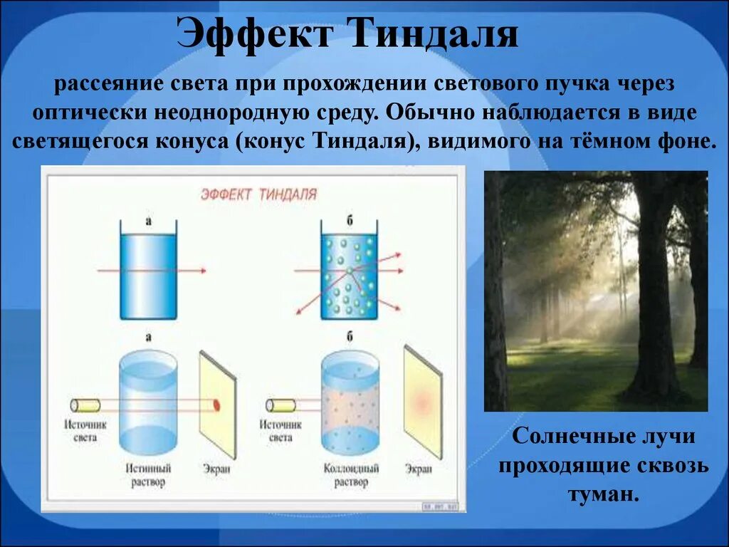 Рассеяние света конус Тиндаля. Эффект Тиндаля химия 11 класс. Явление Фарадея Тиндаля. Эффект Тиндаля в дисперсных системах. Воздух дисперсная система