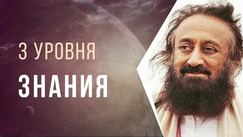 Отзыв об уровне знаний