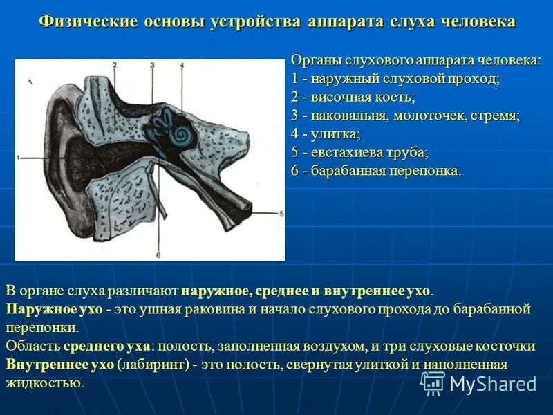 основы устройства аппаратов